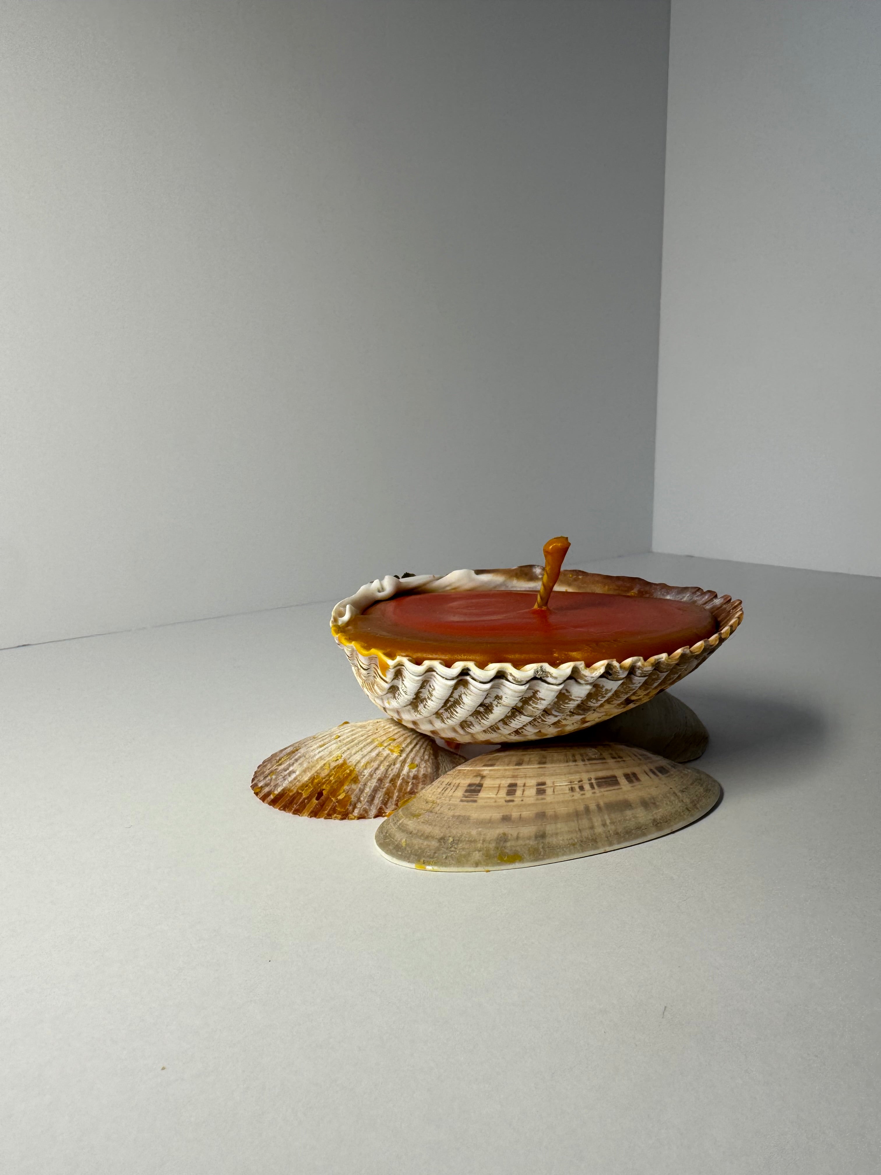Shell Candle