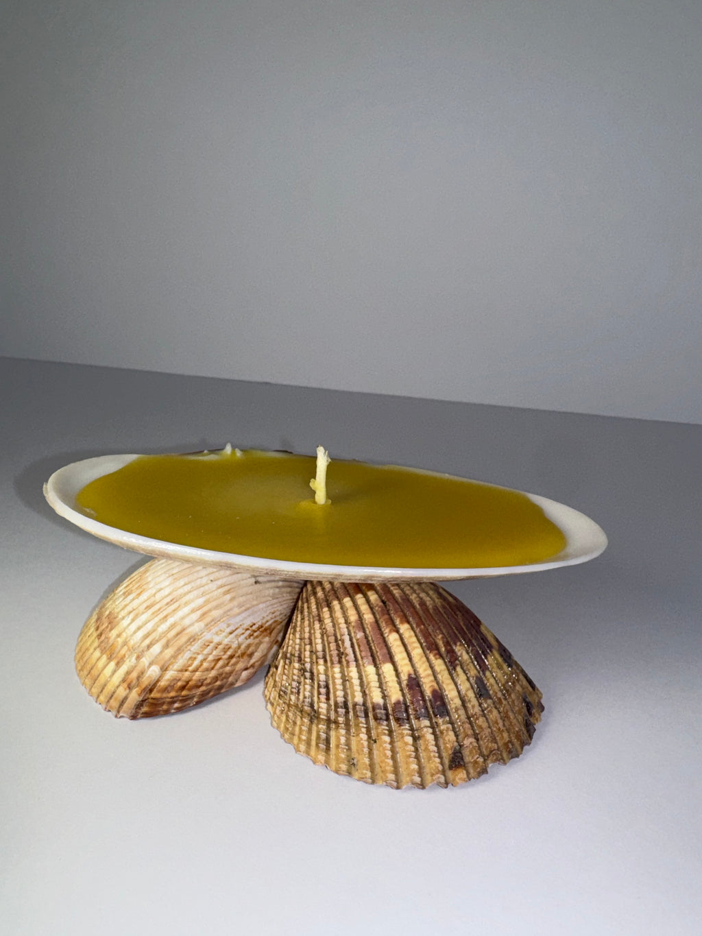 Shell Candle