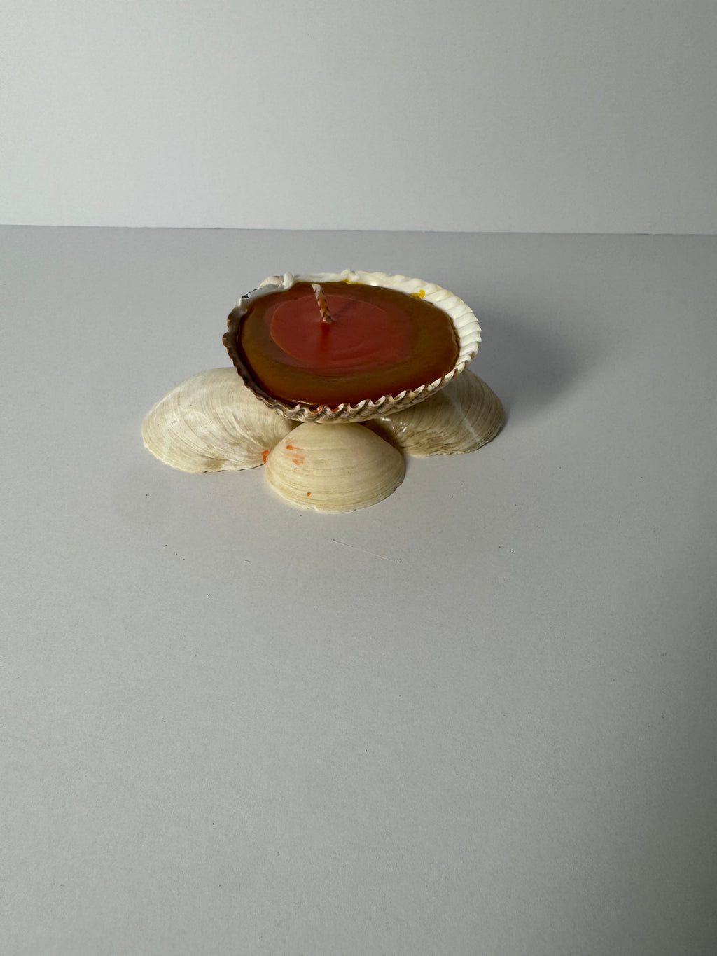 Shell Candle