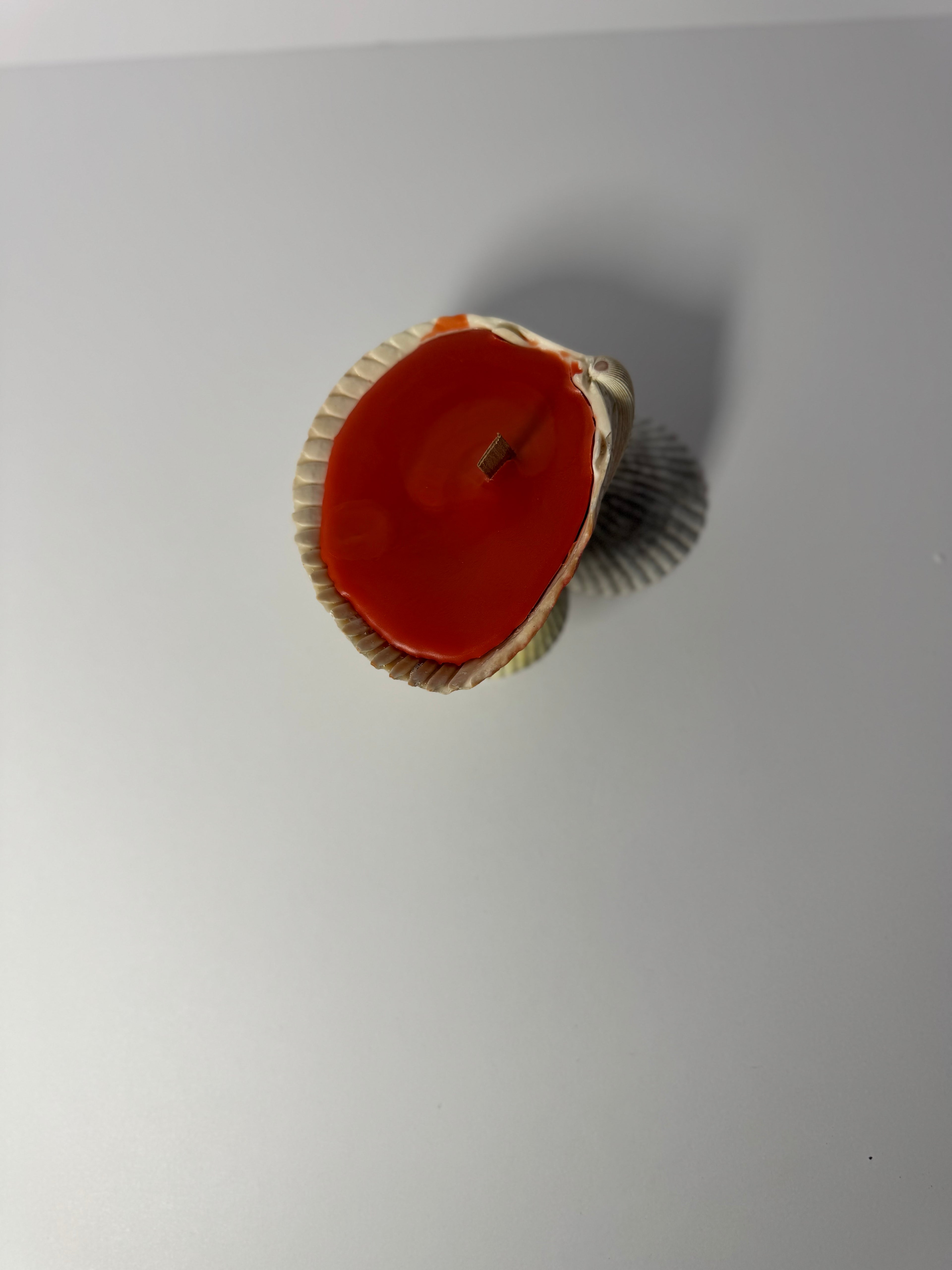 Shell Candle