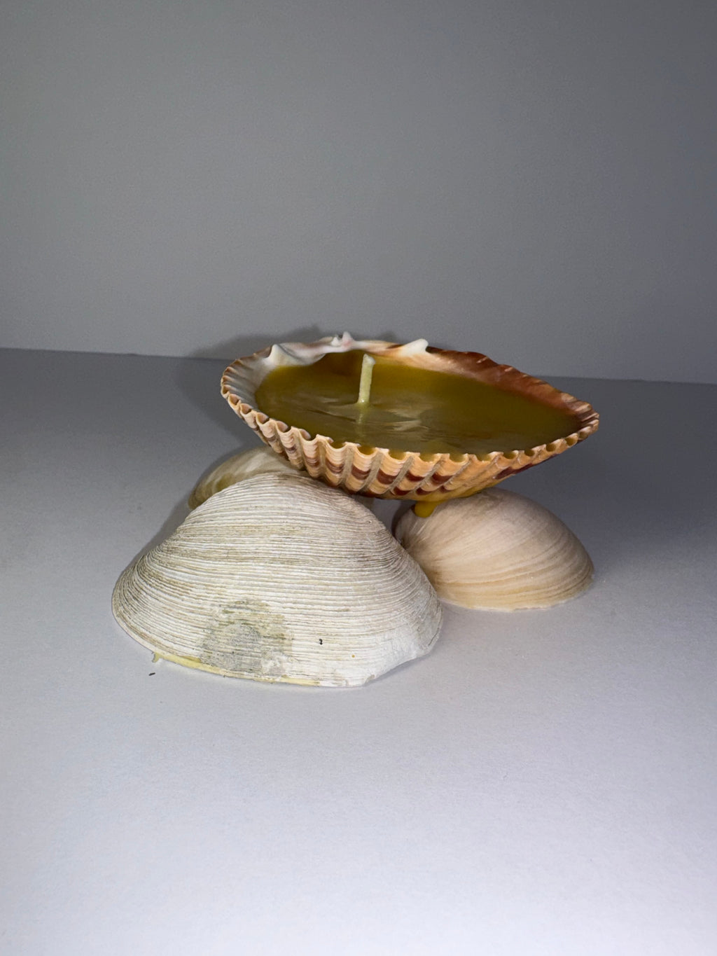 Shell Candle