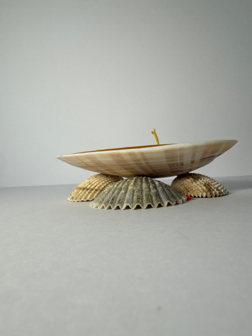 Shell Candle