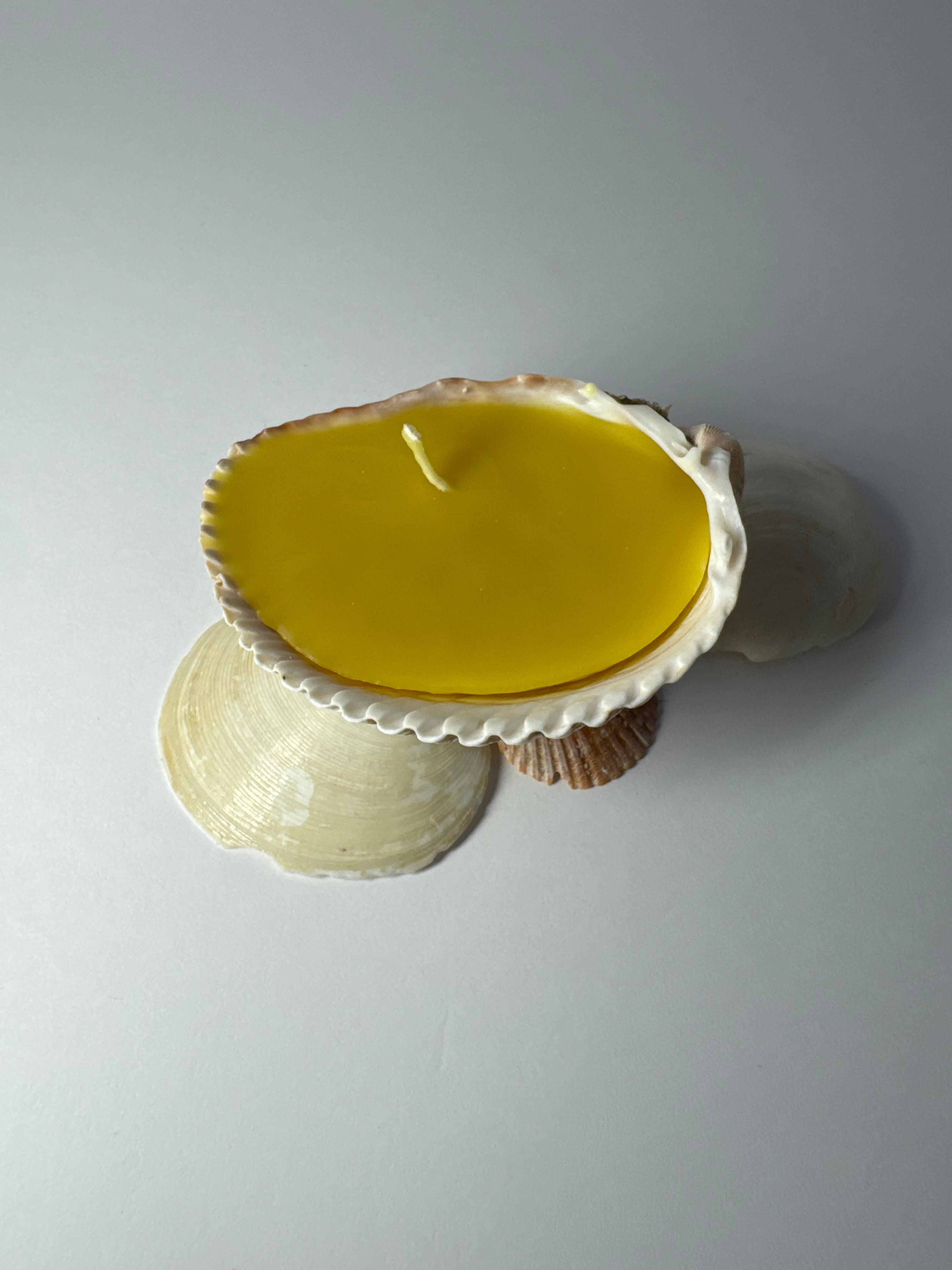Shell Candle